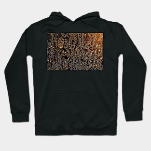 Crystals Hoodie